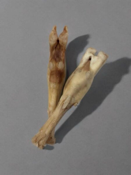 Pied d’agneau séché / Lamb Feet / Lamb Foot